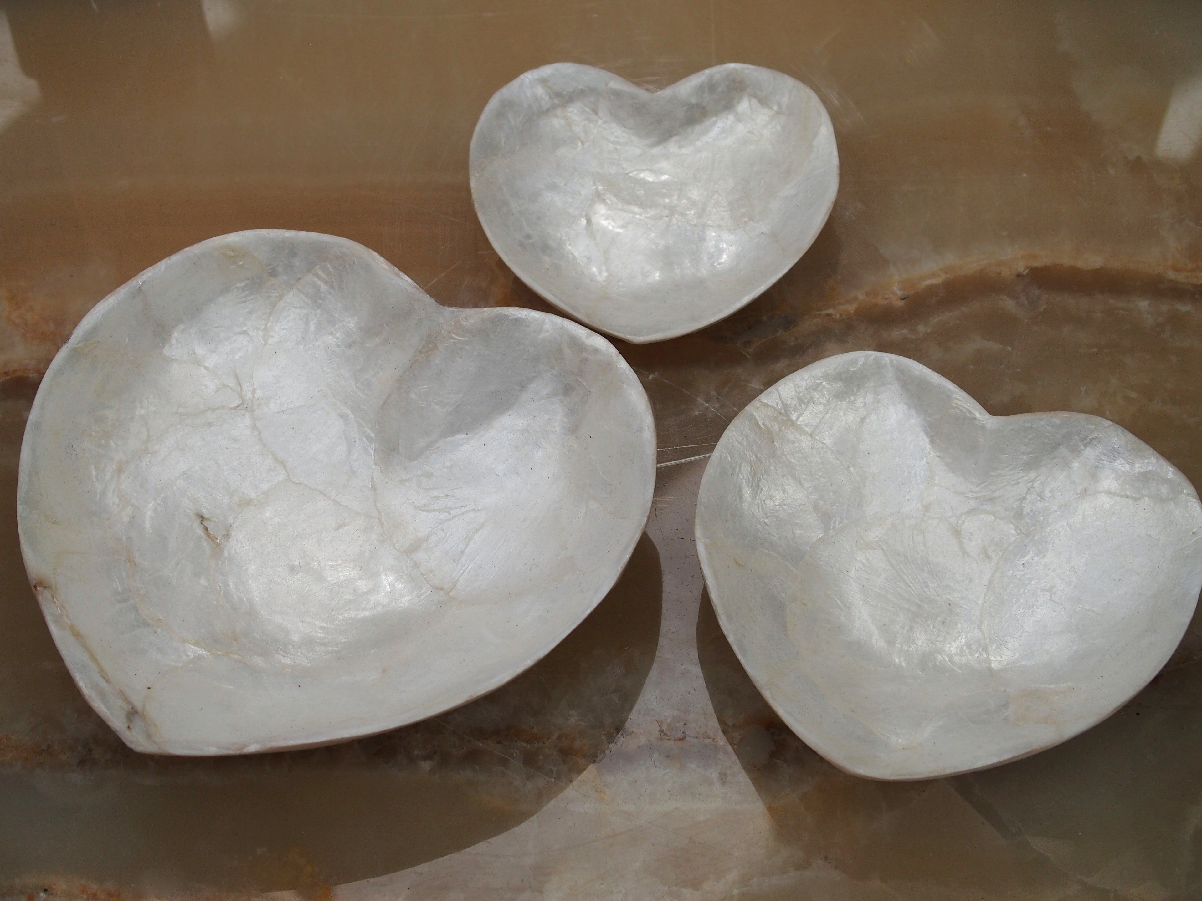 Shell Hearts