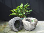 Rice Antique Pot