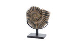 Ammonite Black Large
