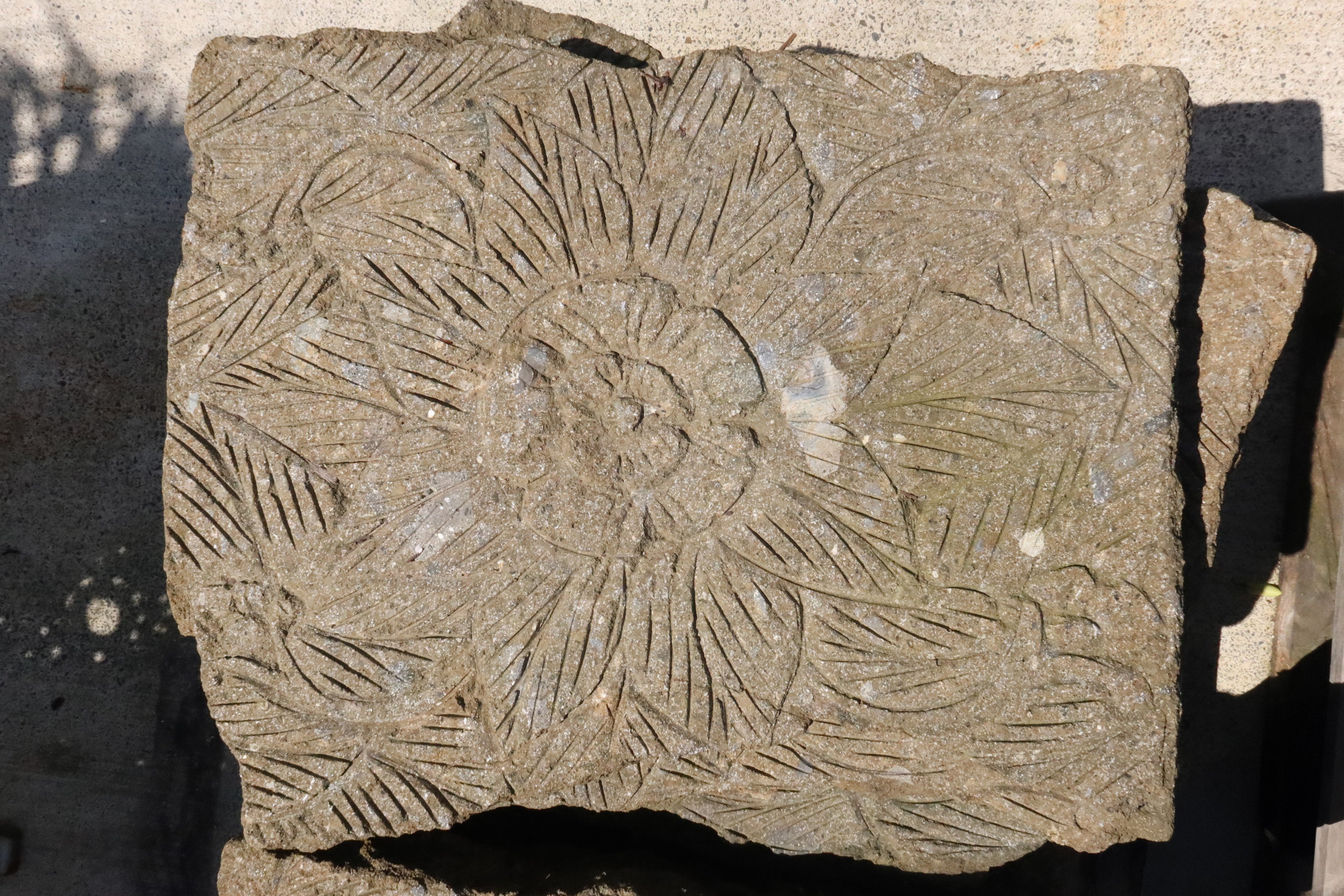 Stepping Stone Pavers with Frangipani Carving