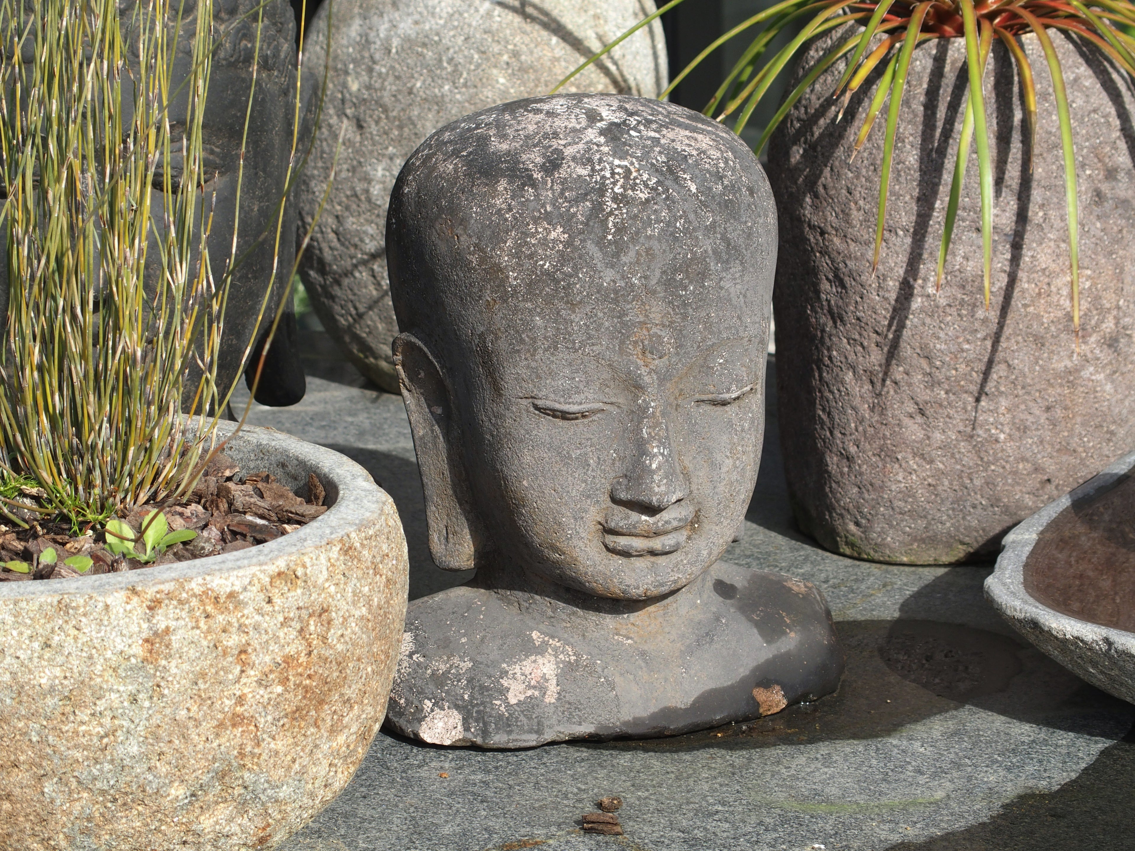 Buddha Bald Head Small