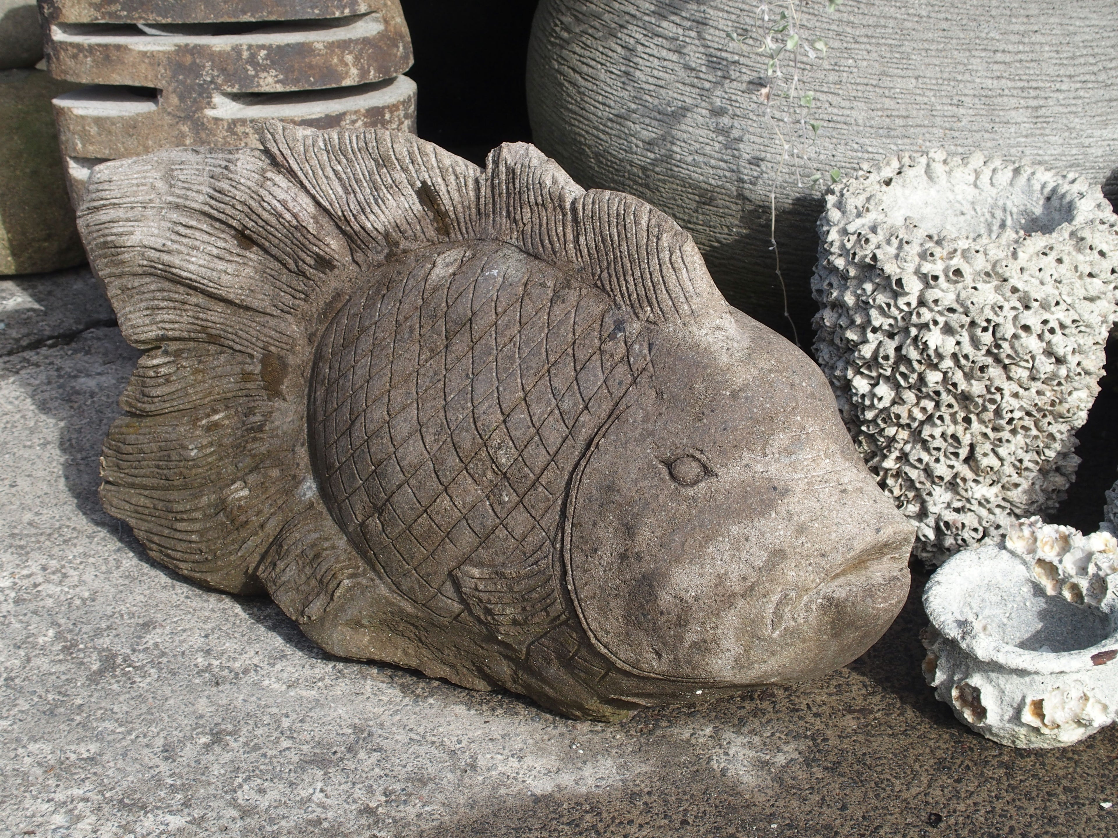 Fish Stone Large