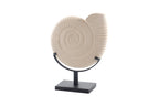 Ammonite White