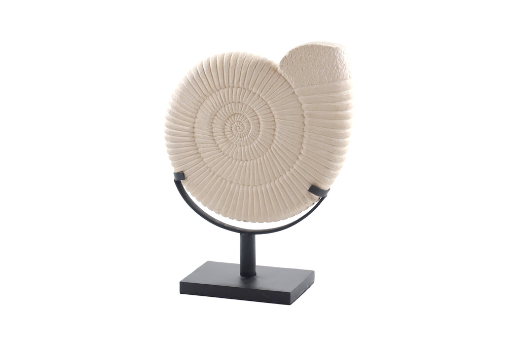 Ammonite White