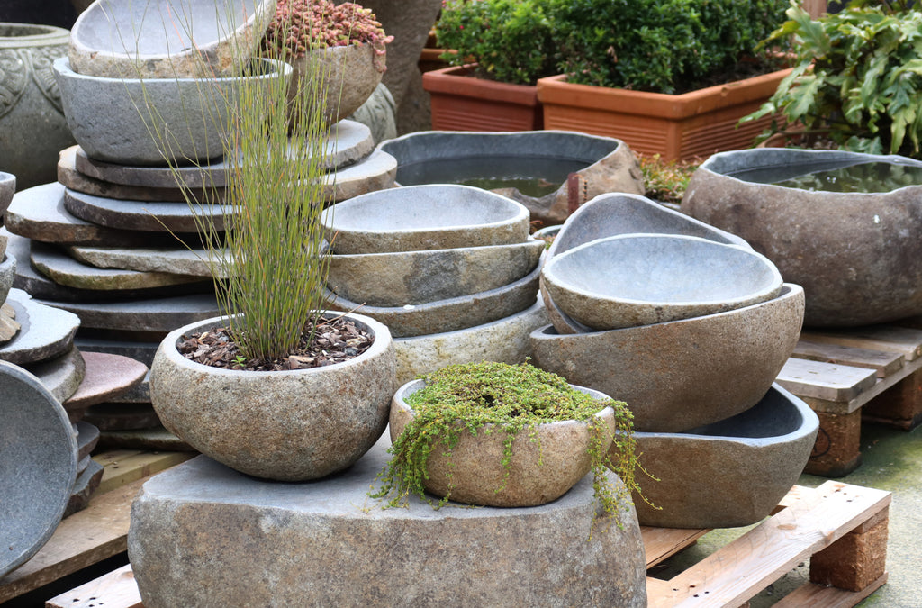 Organic Stone Pot Medium (With hole added)