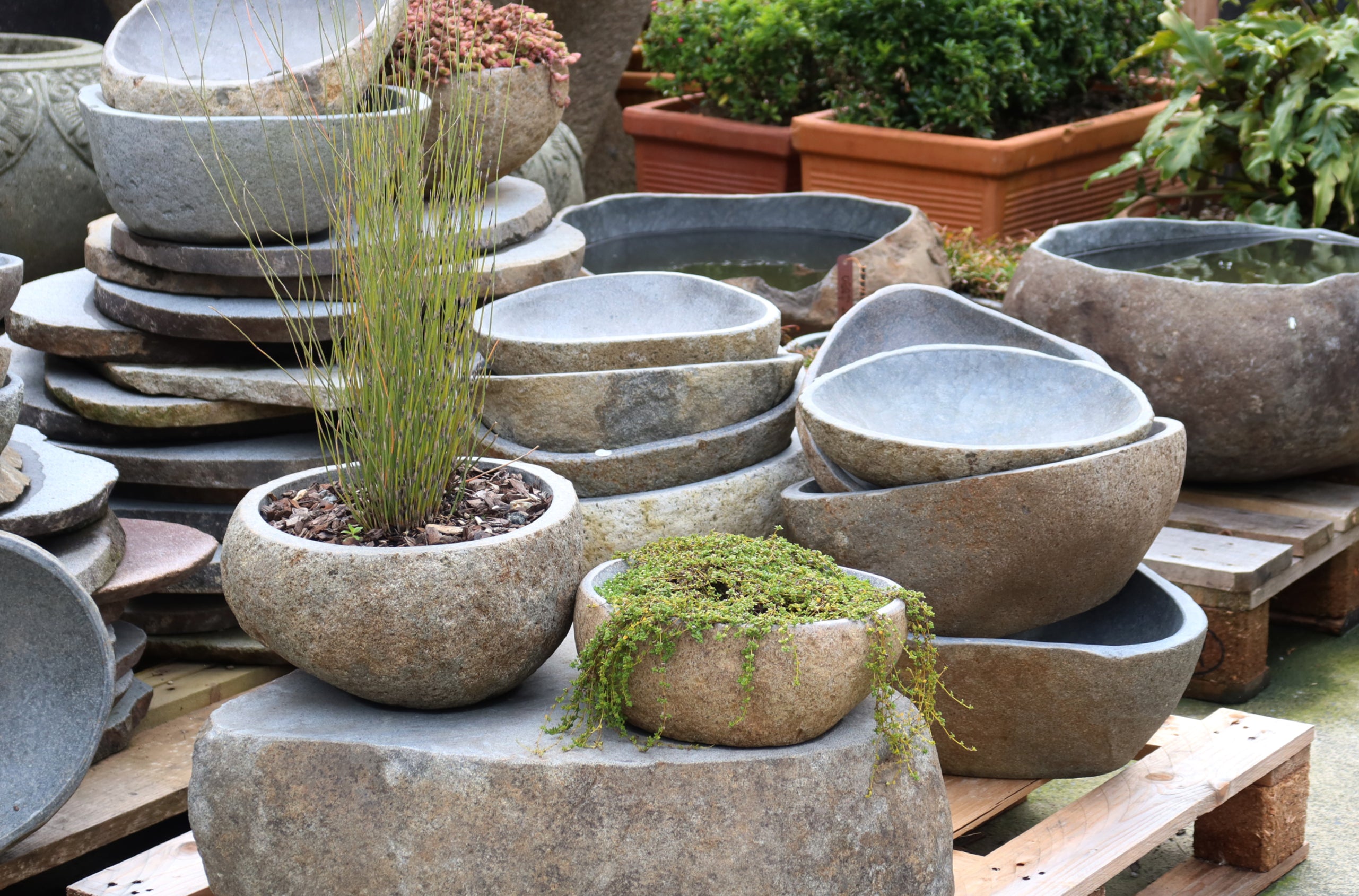 Organic Stone Pot Medium (With hole added)