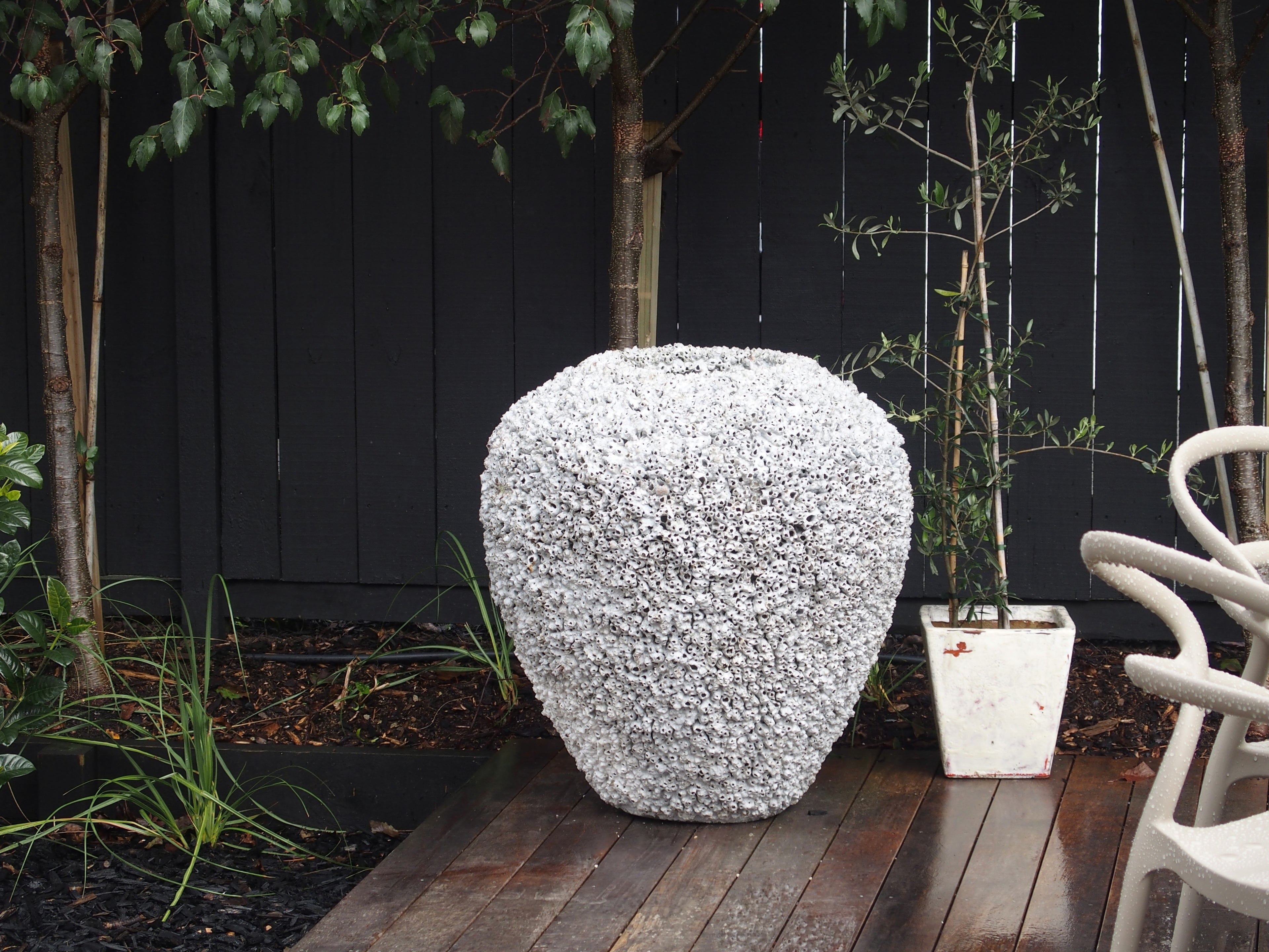 Barnacle Pot Large