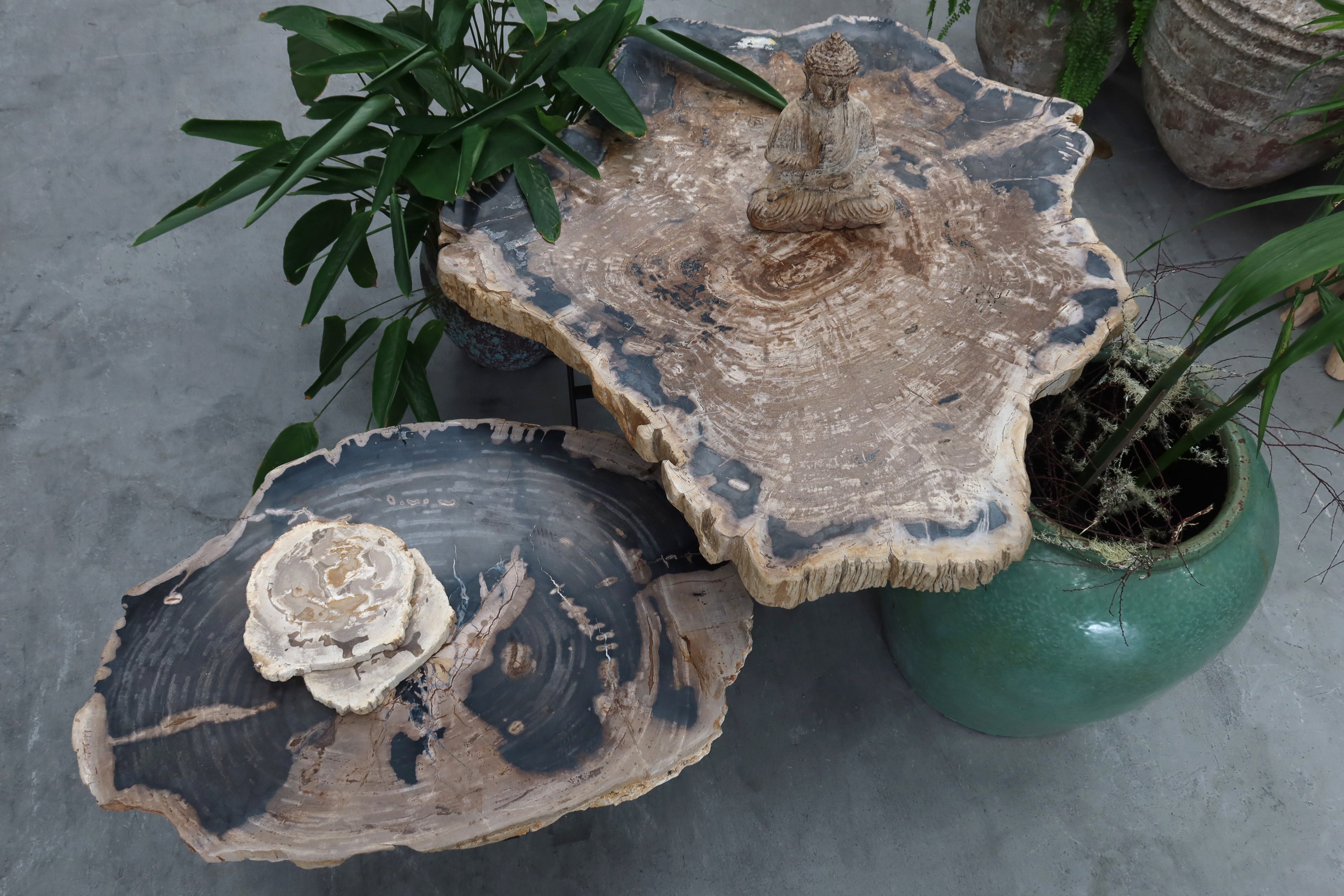 Petrified Wood Table 1200mm