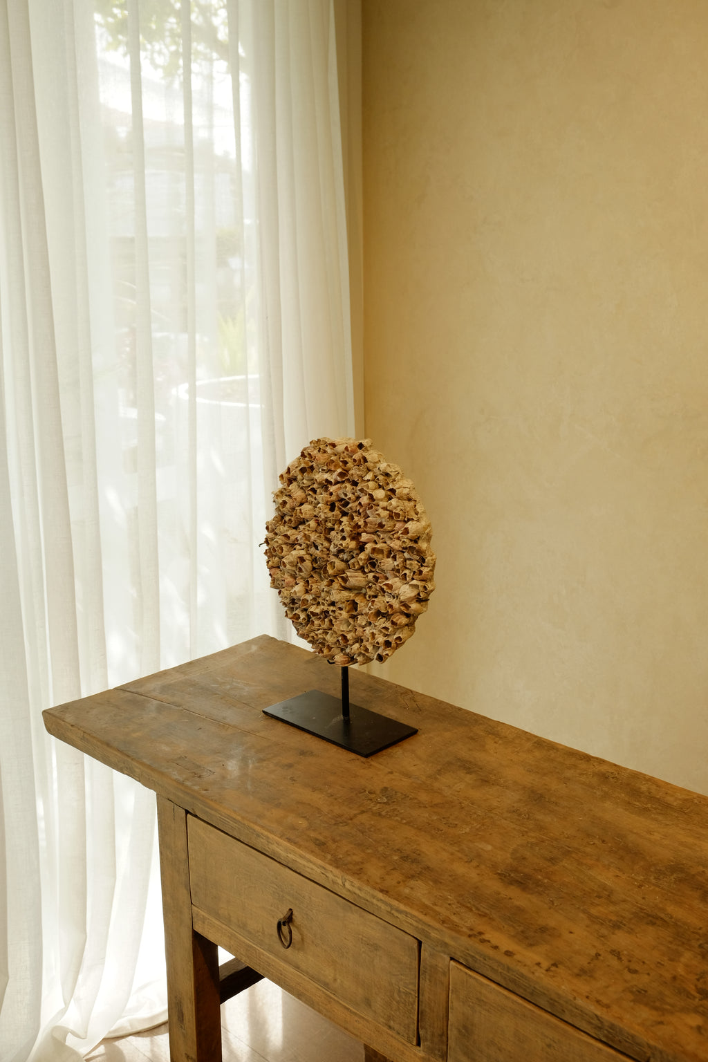 Barnacle Wall Plaque 250mm