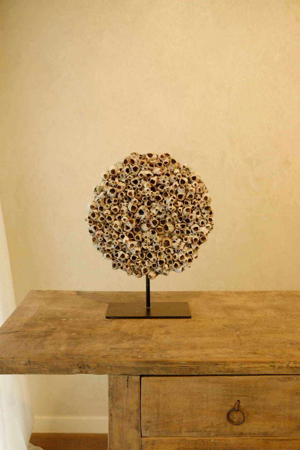 Barnacle Wall Plaque 250mm
