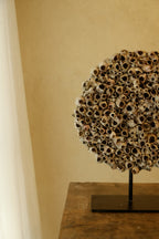 Barnacle Wall Plaque 250mm