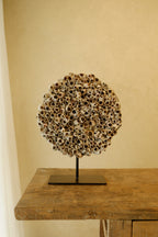 Barnacle Wall Plaque 250mm