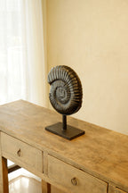 Ammonite Black on Stand Small