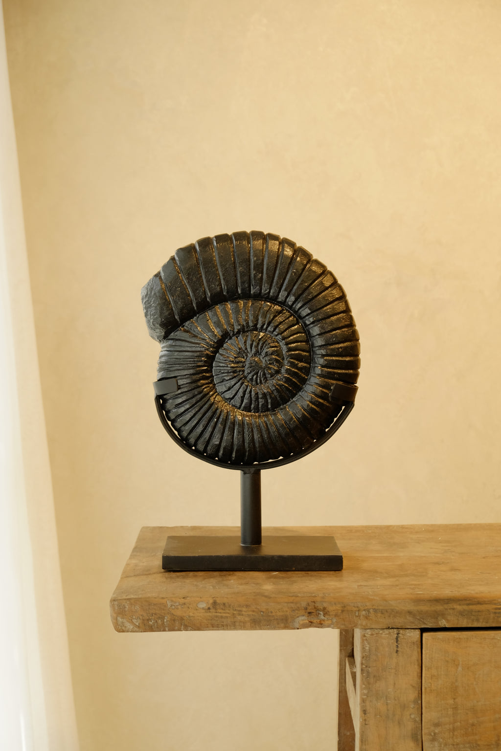 Ammonite Black on Stand Small