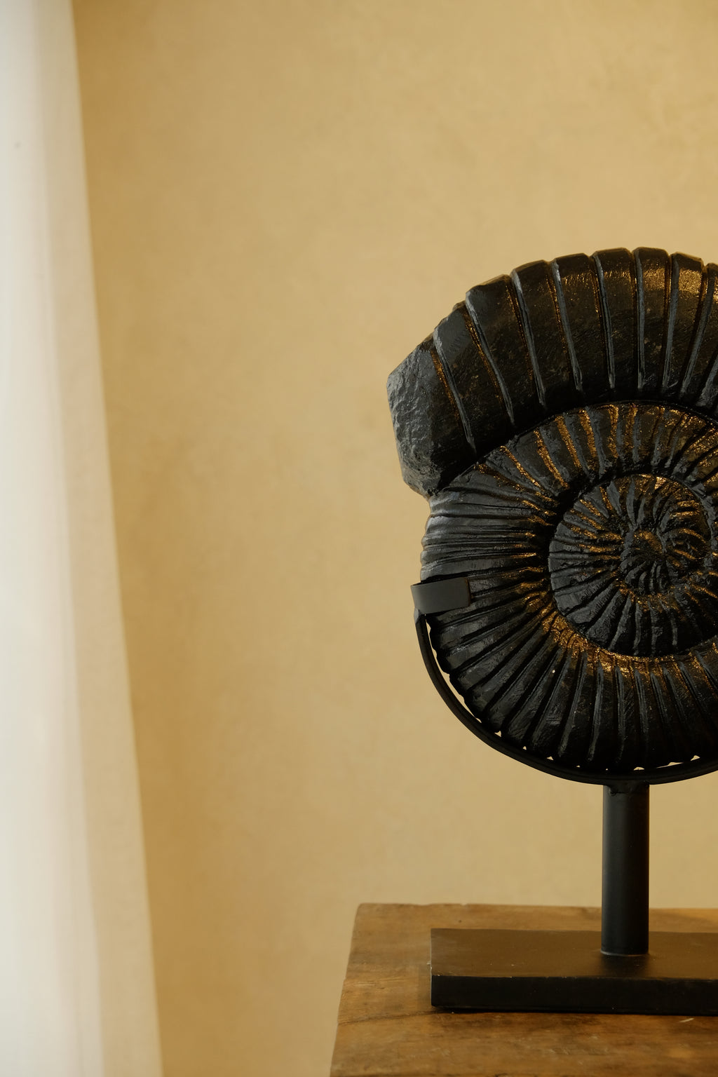 Ammonite Black on Stand Small