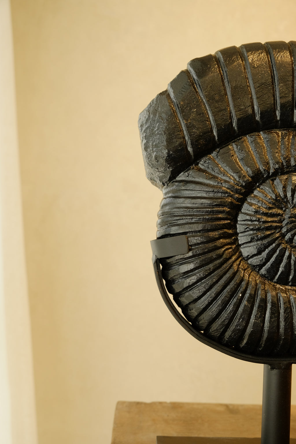 Ammonite Black on Stand Small