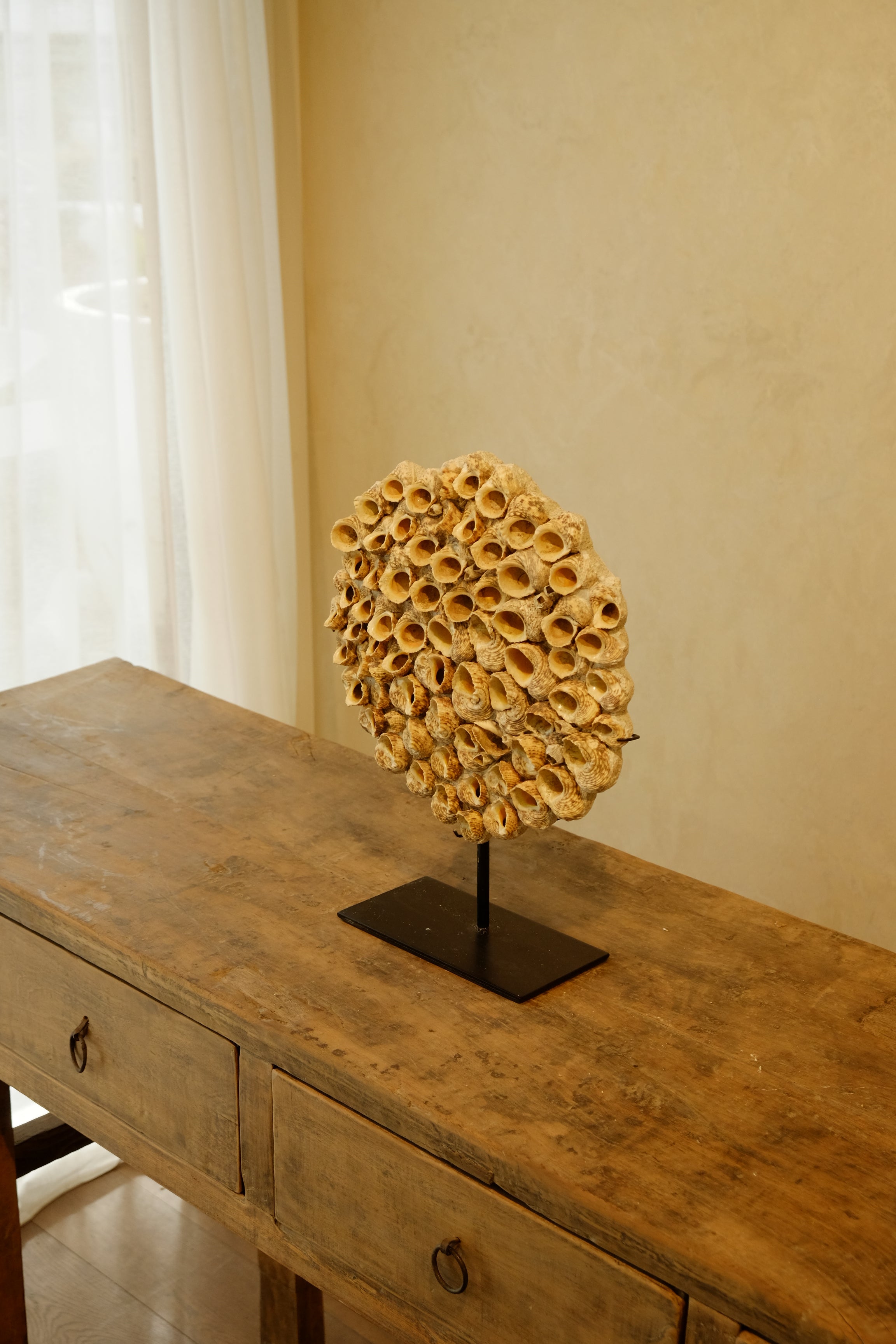 Barnacle Wall Plaque 300mm