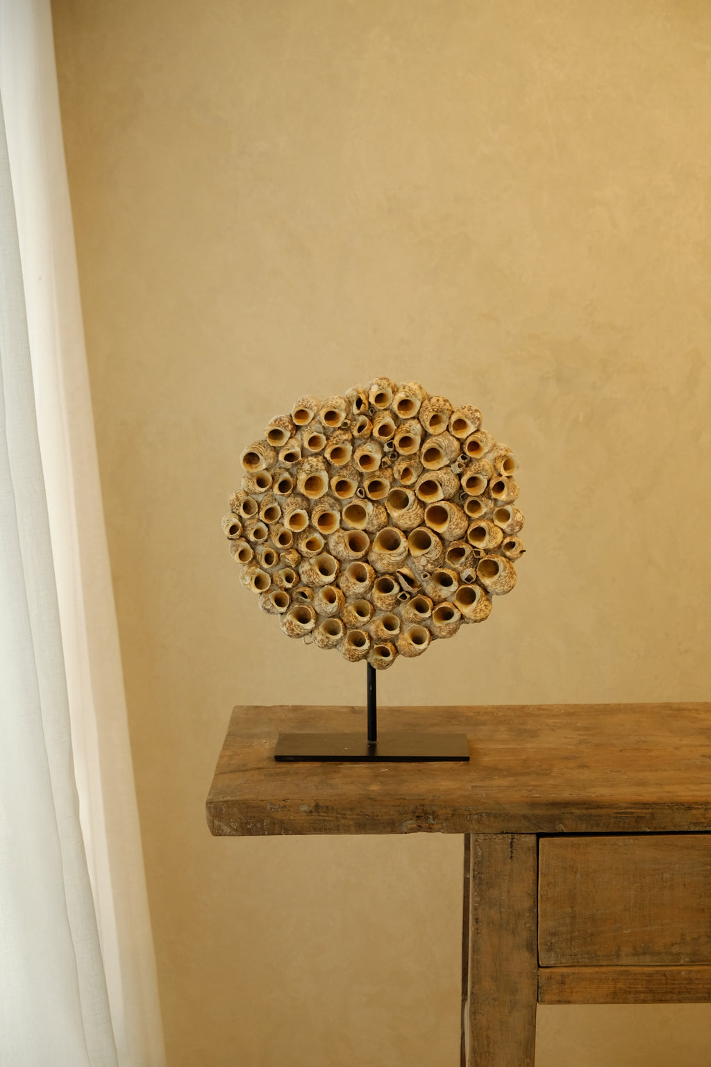 Barnacle Wall Plaque 300mm