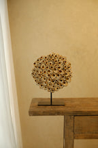 Barnacle Wall Plaque 300mm