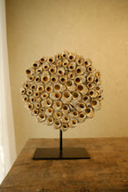 Barnacle Wall Plaque 300mm