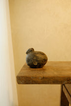 Stone Duck