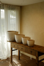 Cora Pot