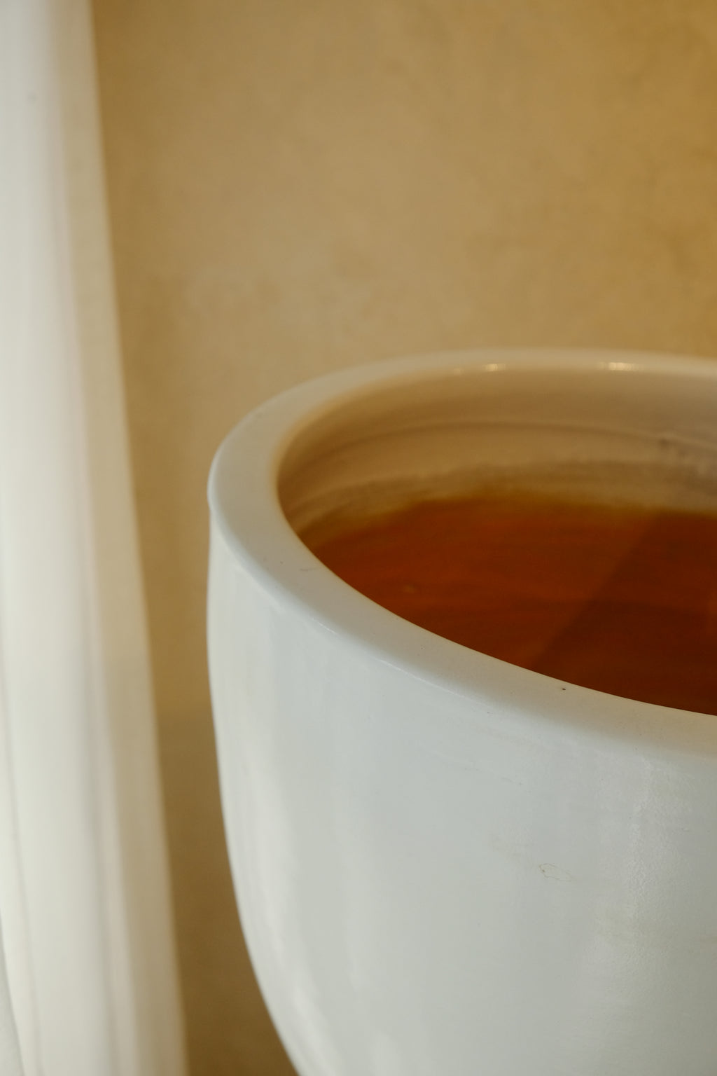 Cora Pot