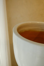 Cora Pot