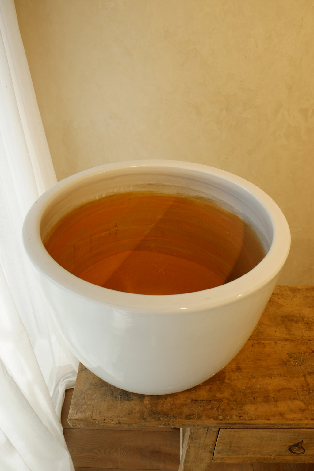 Cora Pot