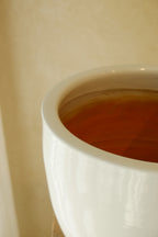 Cora Pot