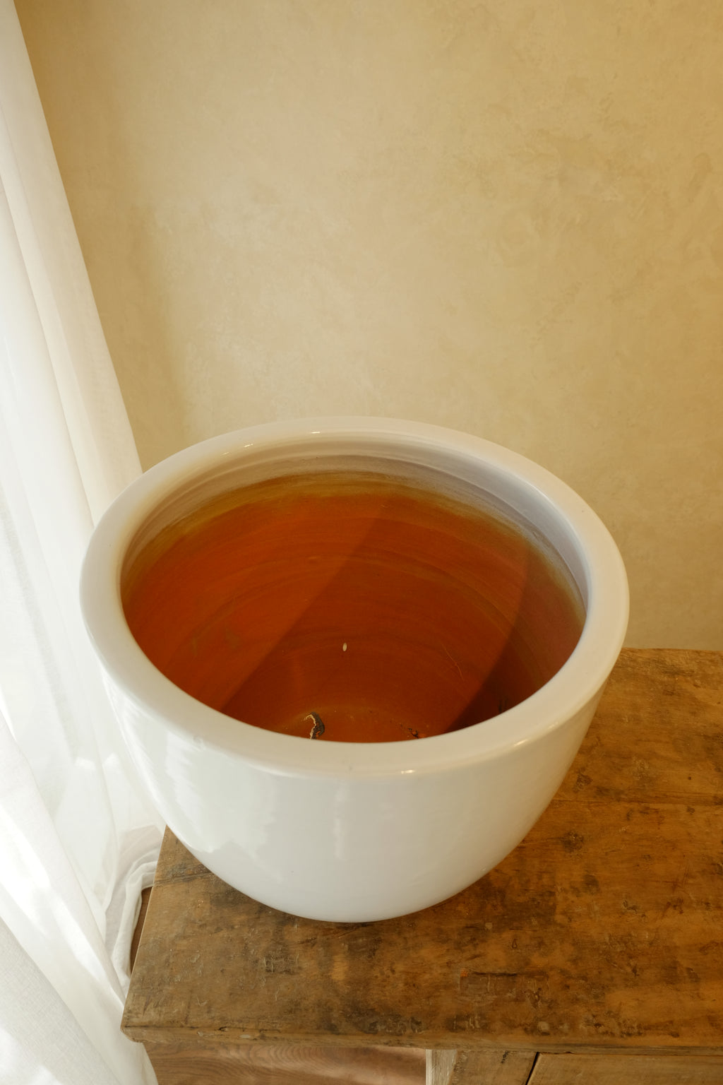 Cora Pot