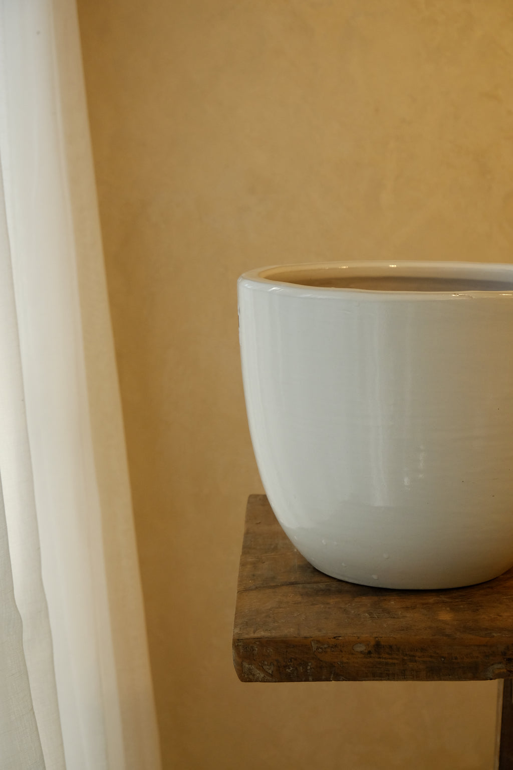 Cora Pot