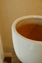 Cora Pot