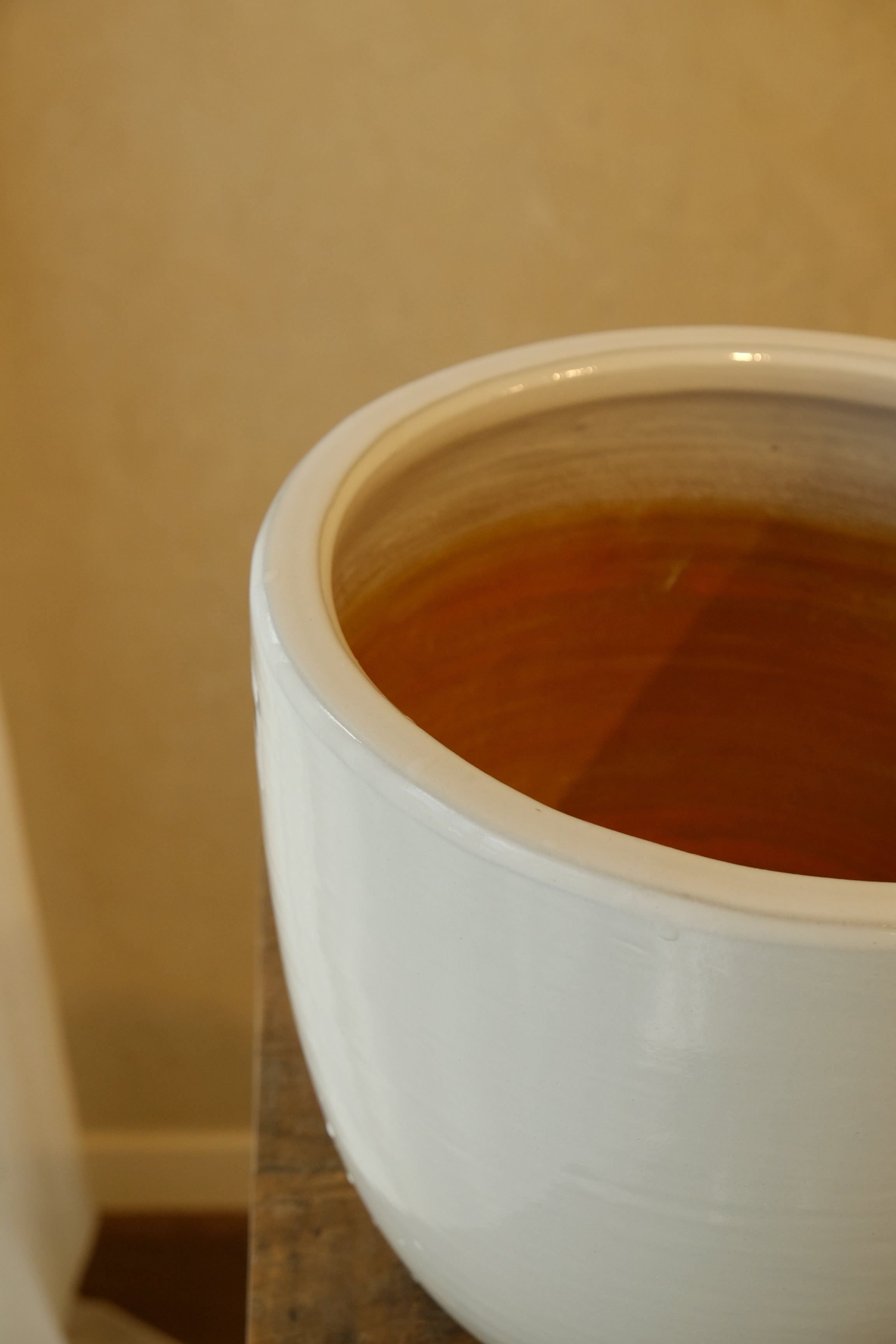 Cora Pot