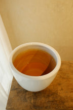 Cora Pot