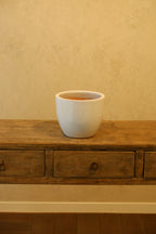 Cora Pot