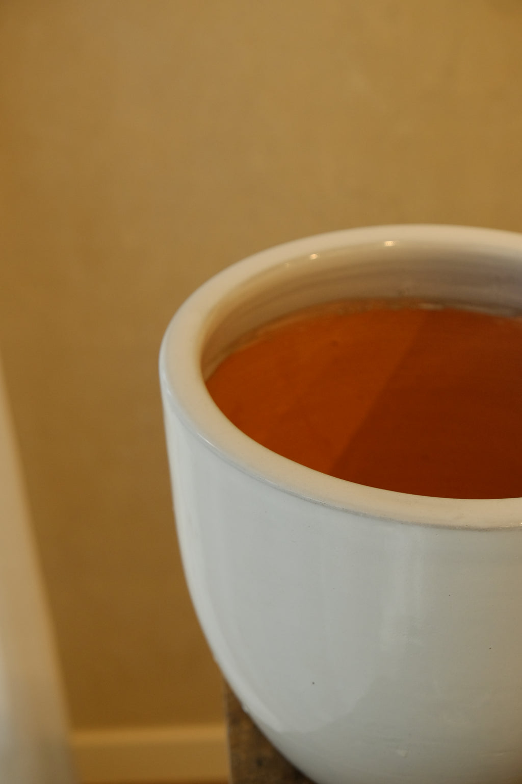 Cora Pot