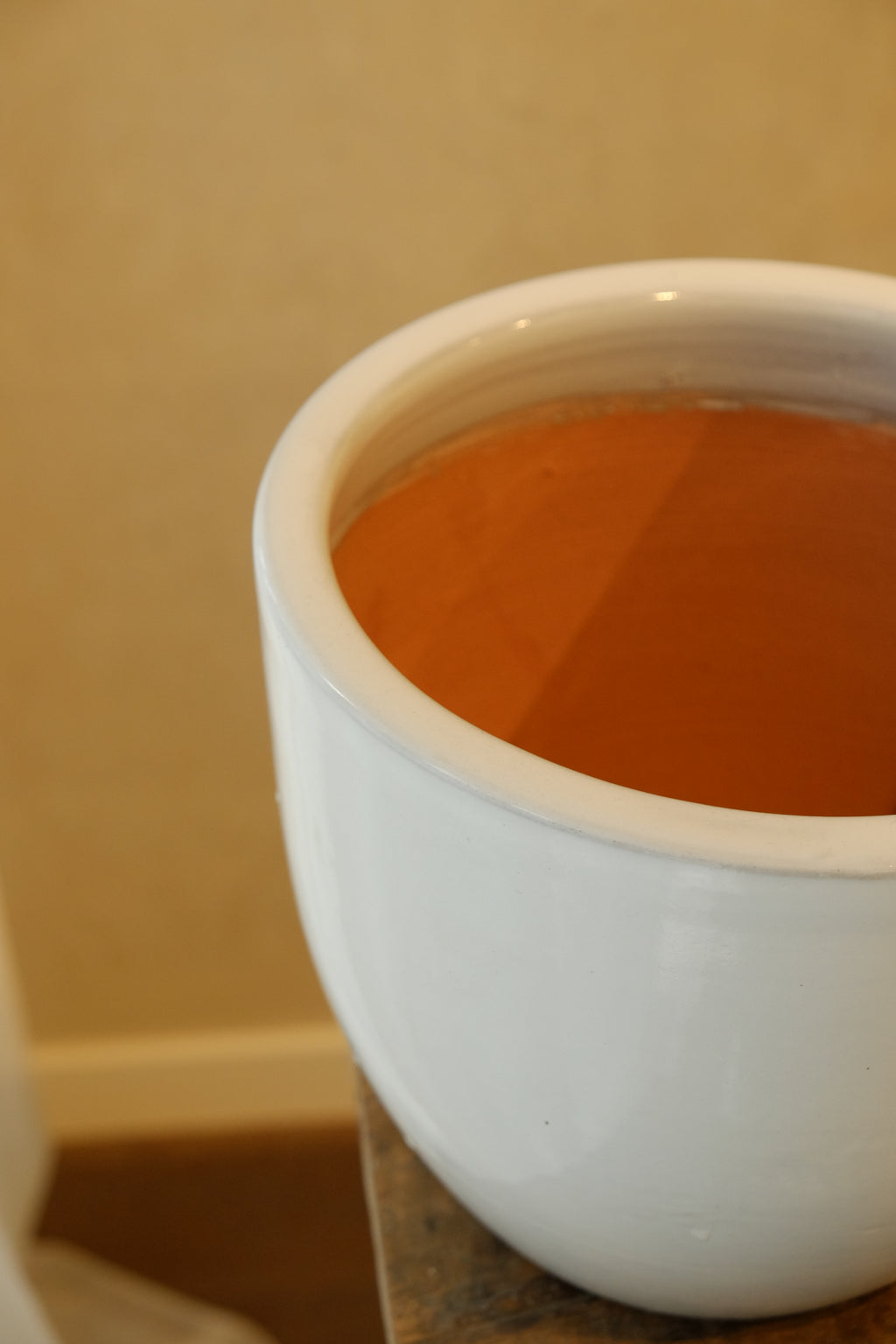 Cora Pot