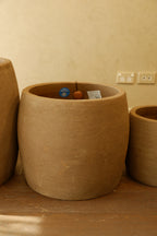 Denali Pot