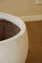 Cove Pot