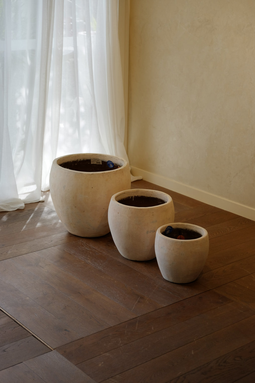 Cove Pot