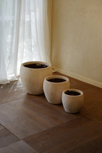 Cove Pot