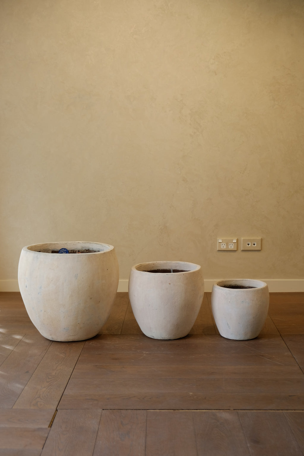 Cove Pot