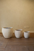 Cove Pot