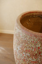 Ta Som Pot