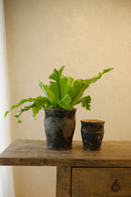 Taormina Pot – Vicolo Noir