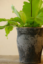Taormina Pot – Vicolo Noir