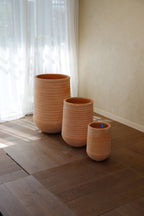 Olmos Pot