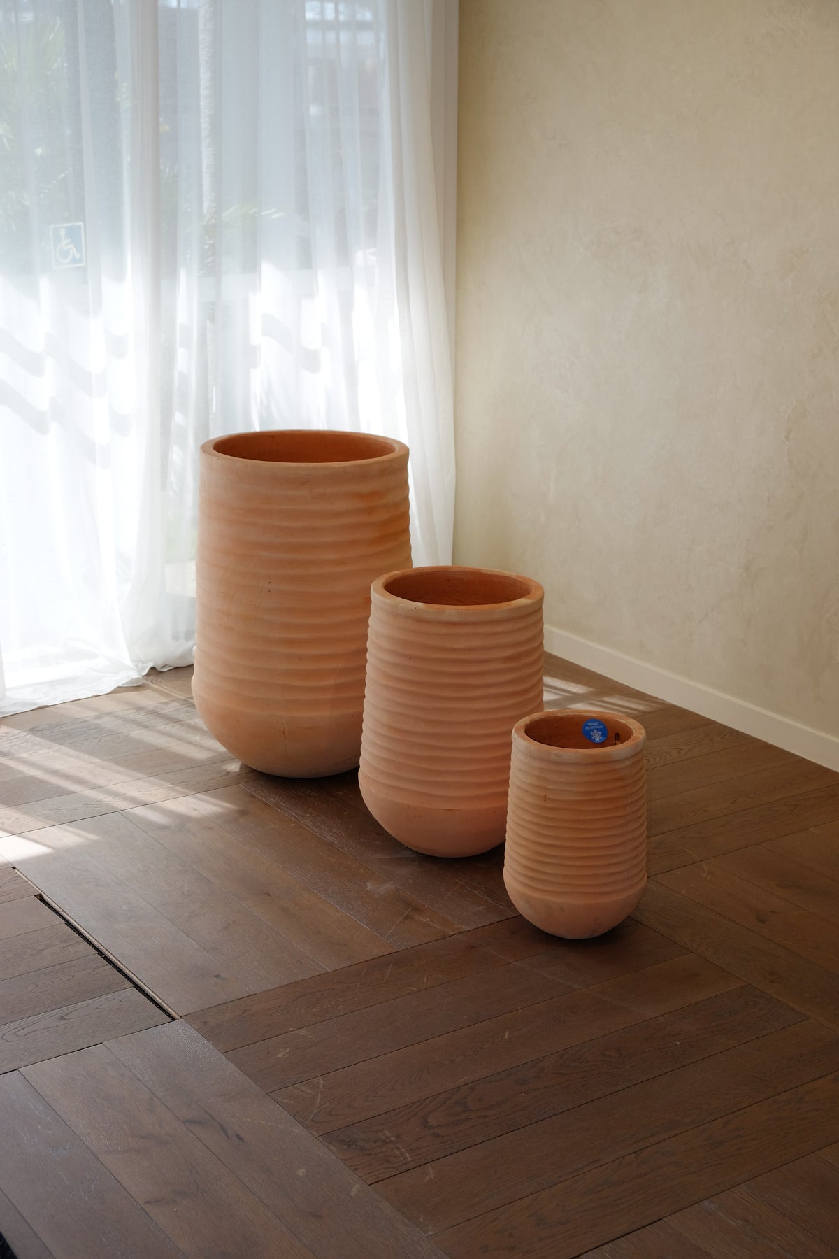Olmos Pot