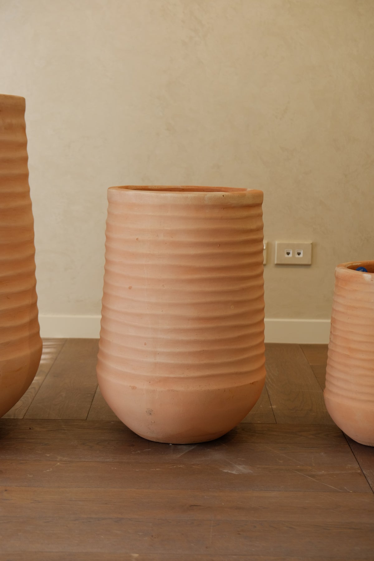 Olmos Pot